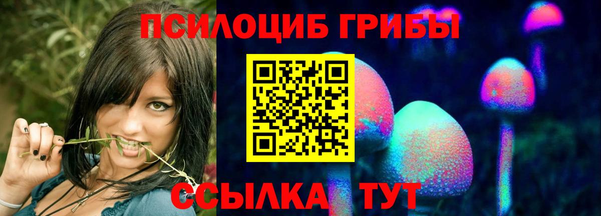 Миасс  Псилоцибиновые грибы GOLDEN TEACHER  Псилоцибиновые грибы мухоморы  Вход с VPN 